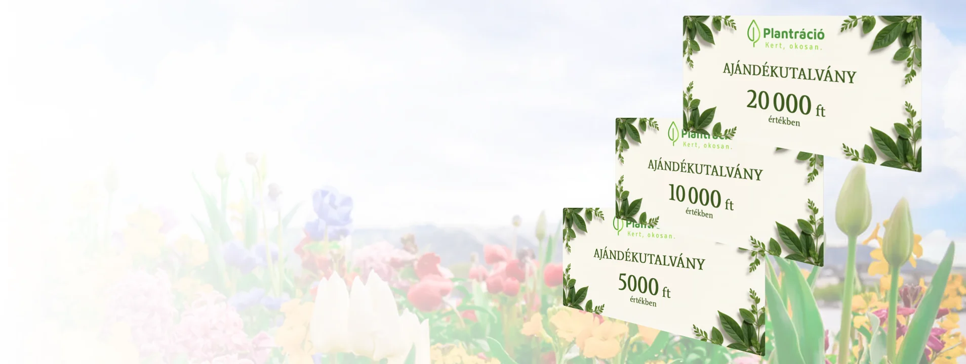 Ajándékutalvány | Plantracio.hu