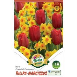   Tulipán - nárcisz duó virághagyma Cheerful Company (8 db/csomag)