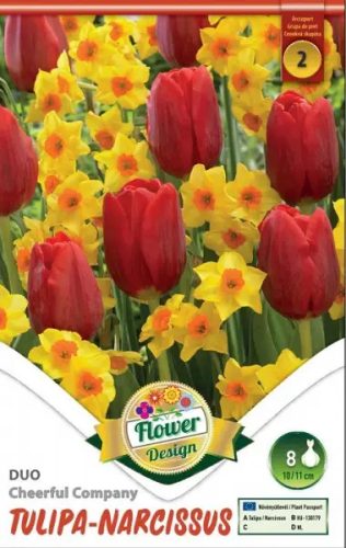 Tulipán - nárcisz duó virághagyma Cheerful Company (8 db/csomag)