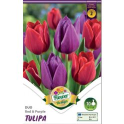   Lila és piros duó tulipán hagyma színkeverék (10 db/csomag)