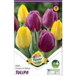   Lila és sárga duó tulipán hagyma színkeverék (6 db/csomag)