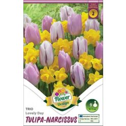   Tulipán - nárcisz trio virághagyma  Lovely Day (9 db/csomag)