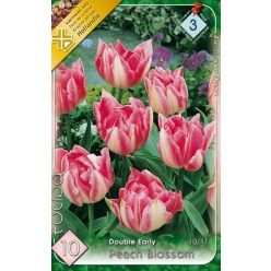 Peach Blossom tulipán hagyma  (10 db/csomag)