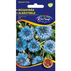 Búzavirág kék - virágmag