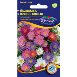 Törpe bokros őszirózsa - színkeverék virágmag