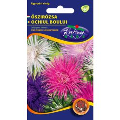 Tűszirmú őszirózsa - színkeverék virágmag