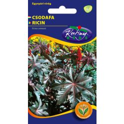 Csodafa virágmag piros termésű 3 g