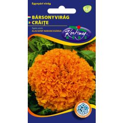 Bársonyvirág narancssárga ( magas ) 1 g