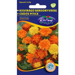 Bársonyvirág - kisvirágú,  színkeverék virágmag