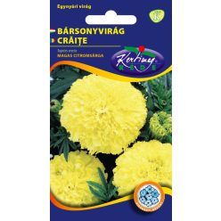 Bársonyvirág citromsárga ( magas ) 1 g