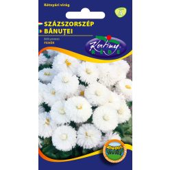 Fehér Százszorszép virágmag 0,2 g
