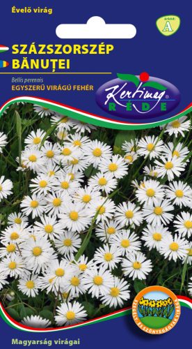 Százszorszép - egyszerű virágú fehér  virágmag