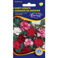 Kerti Szegfű színkeverék virágmag 0,25 g