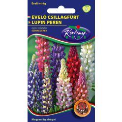 Évelő Csillagfürt -  virágmag