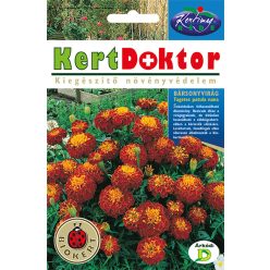 Bársonyvirág -  színkeverék virágmag