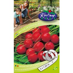 Óriás Vajretek - retek vetőszalag 3 x 1,33 m