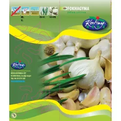 Dughagyma - Tavaszi fokhagyma Morado 250g