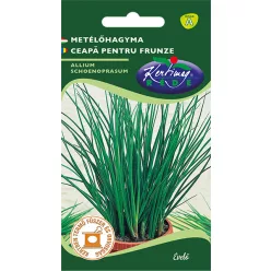 Metélőhagyma vetőmag 1 g