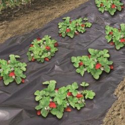 Nature eperfólia fekete perforált 1,4x10m