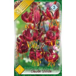 Claude Shride liliom hagyma