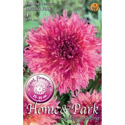 Myrtle's Folly dekoratív dália gumó 1db/cs