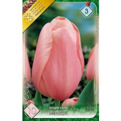 Menton tulipán hagyma (7 db/csomag)
