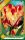 Flaming Parrot tulipán hagyma (5 db/csomag)