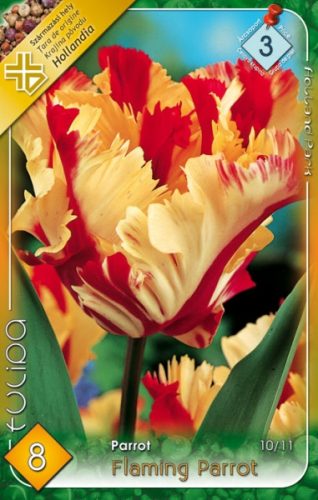 Flaming Parrot tulipán hagyma (8db/csomag)