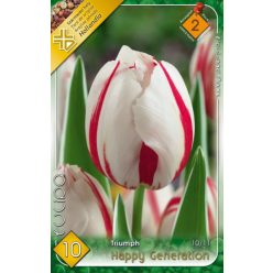 Happy Generation tulipán hagyma (6 db/csomag)