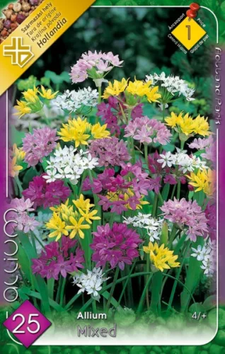 Díszhagyma - Allium Mixed 25db/cs