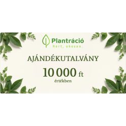Ajándékutalvány 10000 forint értékben