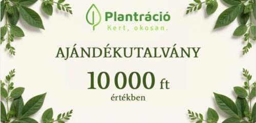 Ajándékutalvány 10000 forint értékben