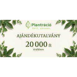Ajándékutalvány 20000 forint értékben