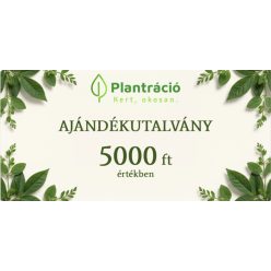 Ajándékutalvány 5000 forint értékben
