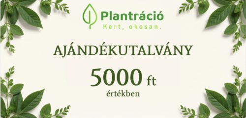 Ajándékutalvány 5000 forint értékben
