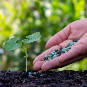 Általános műtrágyák