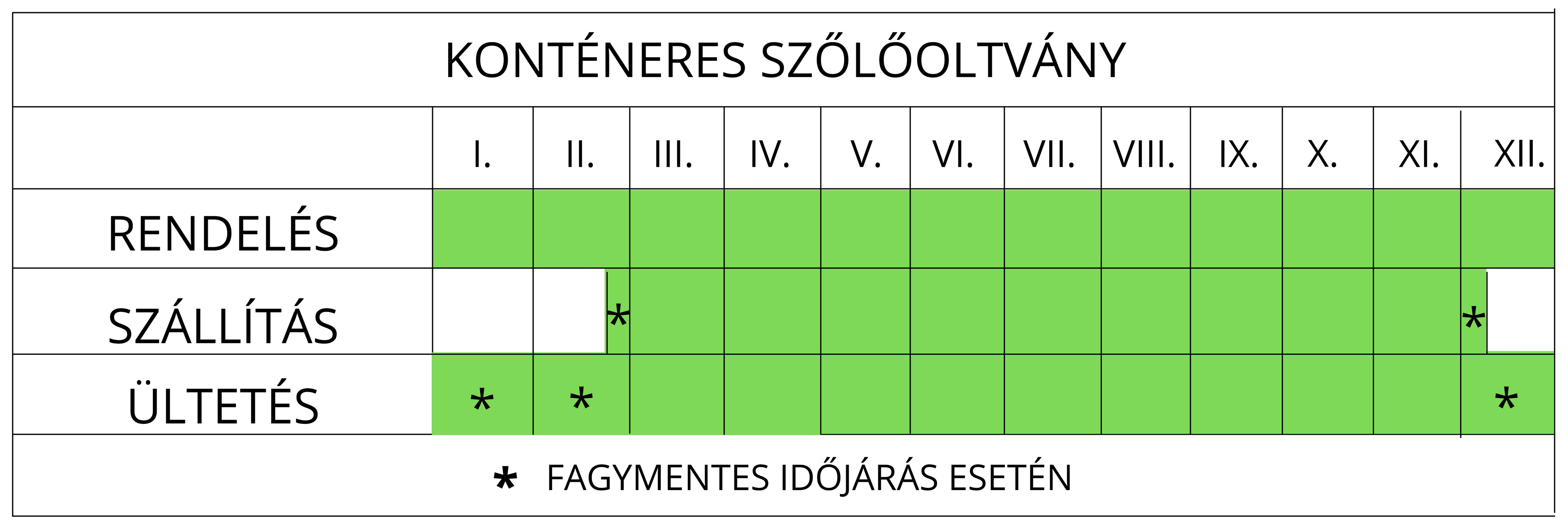 Konténeres szőlőoltvány ültetése