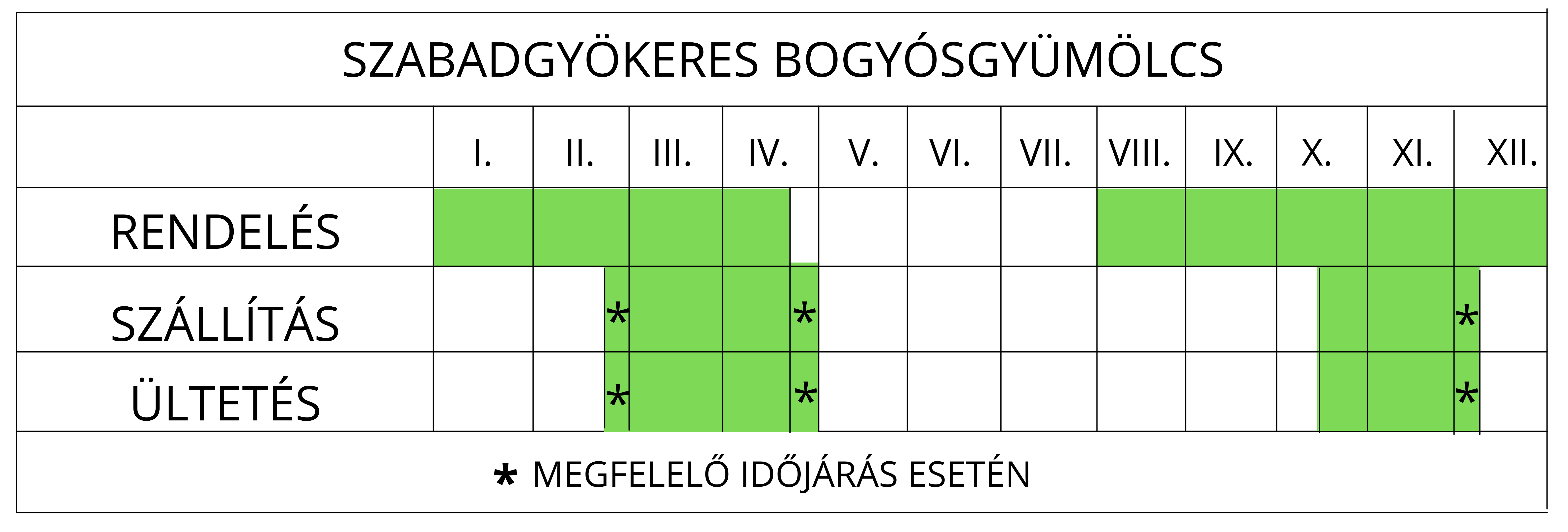 Szabadgyökeres bogyósgölcs ültetési ideje