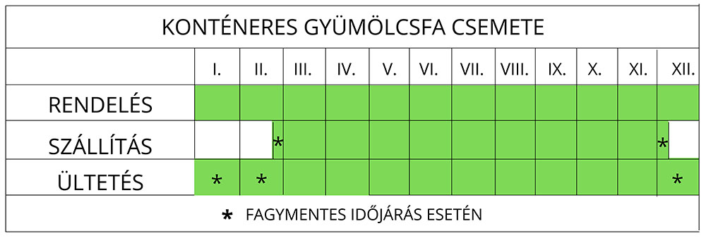 Kopnténeres gyümölcsfa ültetési ideje