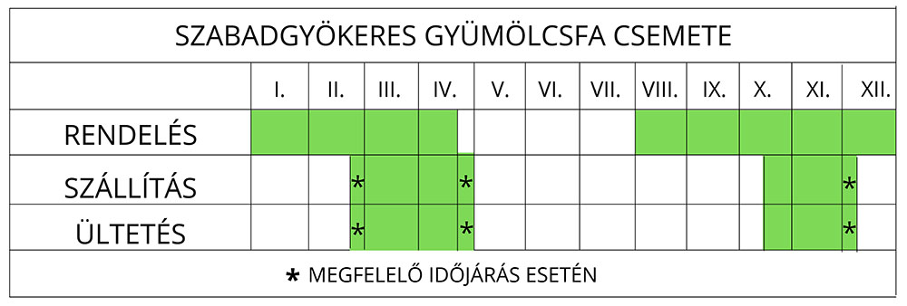 Szabadgyökeres gyümölcsfa ültetési ideje